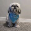 dog_lover5566