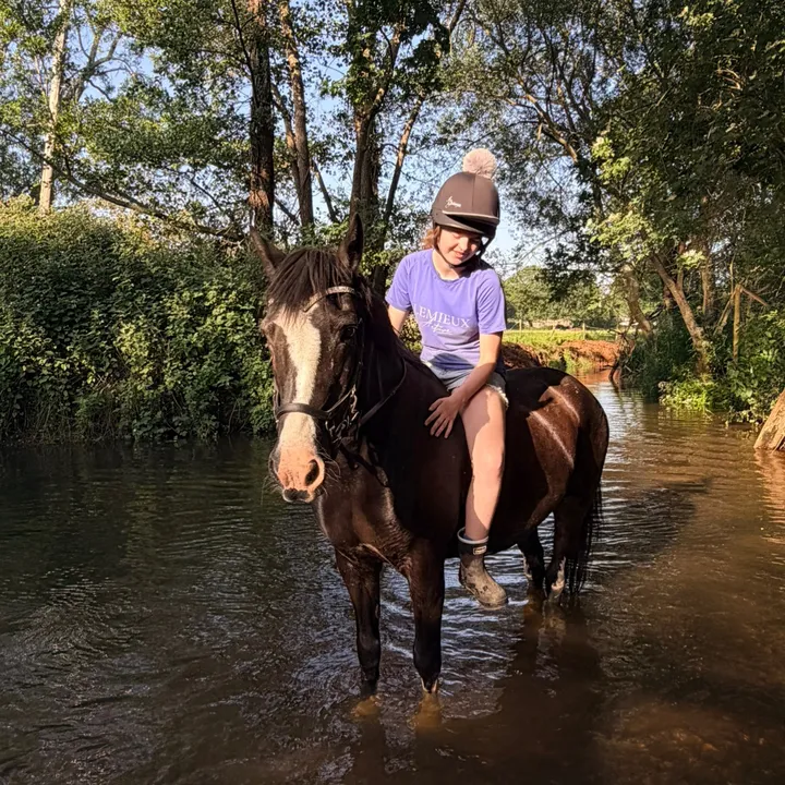 soph_equestrian04