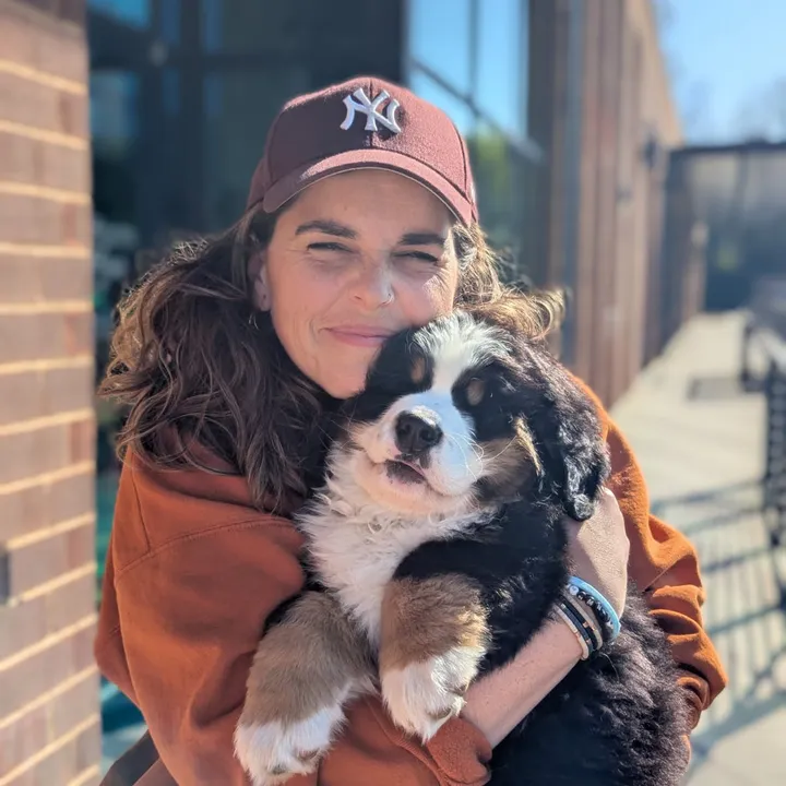 @colltunis