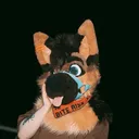 @sheppermax