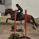 @laureneldred2