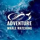 @adventurewhalewatching