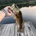 @k.money511