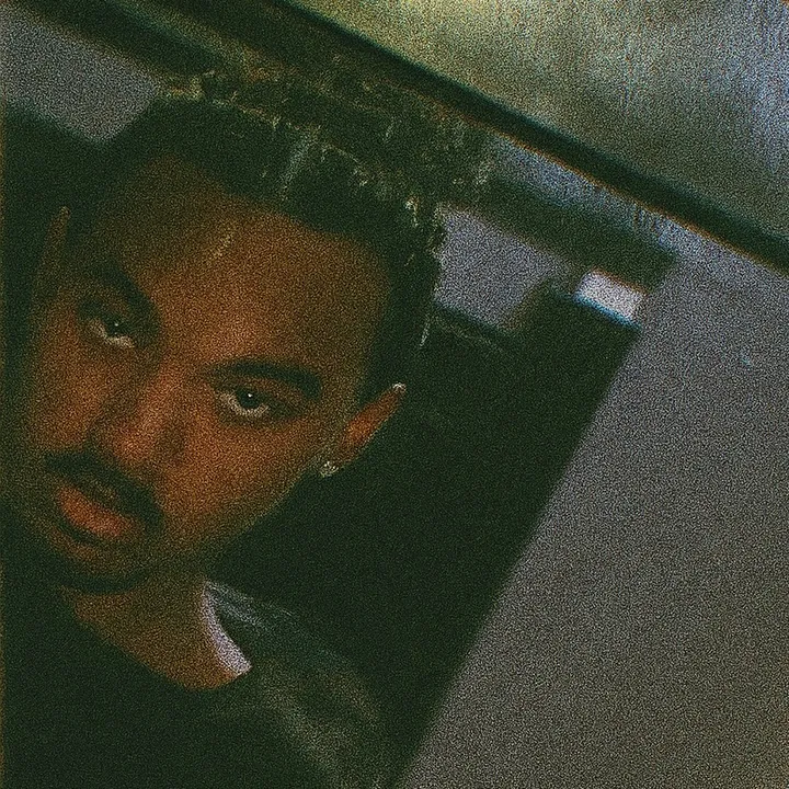 @kemonilark