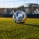 @futbolargentino446