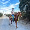 enes.akcaa