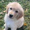 barry_barkington