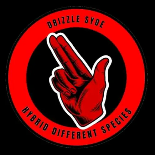 drizzlesyde.promo
