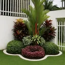 @mi.jardin_