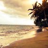 native_hawaii
