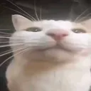 @johnquavius_the_t