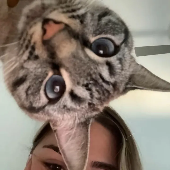 @julialukaz