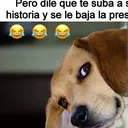 @eldalinejitodecorazon