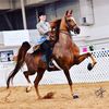 stonewellfarm