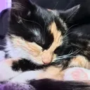 @kuuandartemis