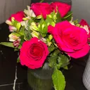 @setub_