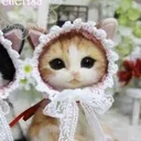 @mewklekittyspare
