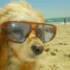 babysurfista