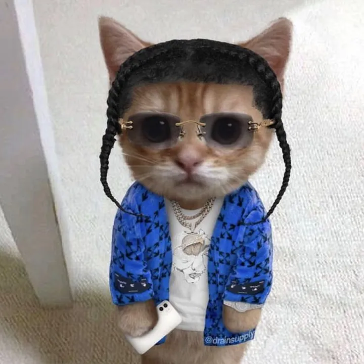 @breadtoothurl