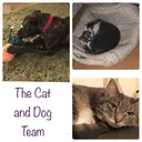 @thecatanddogteam