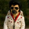 elvispreselyleitner