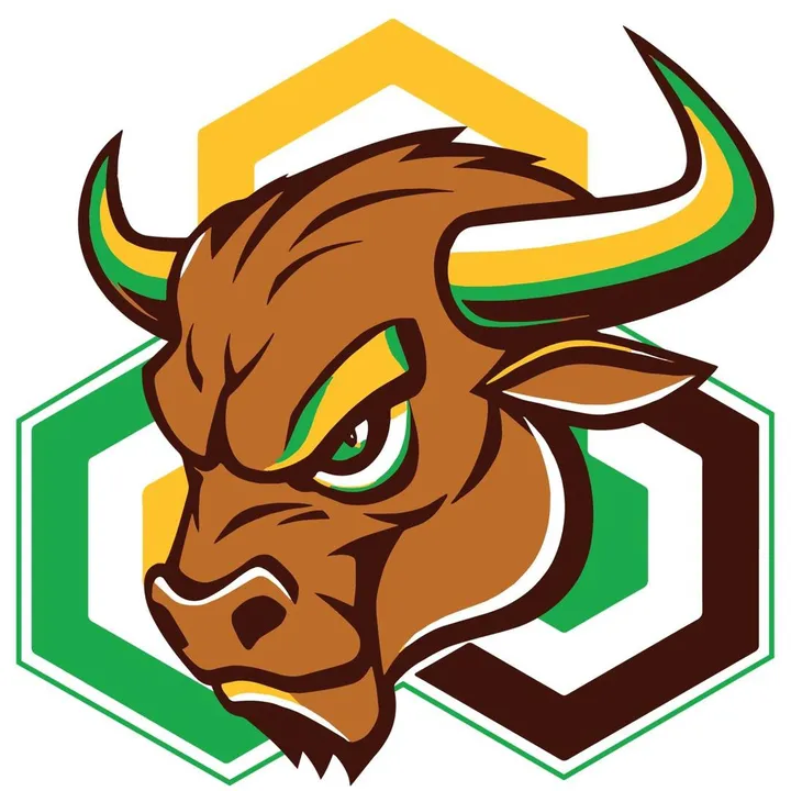 @blockchainbullalpha