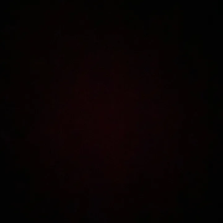 zoeecamila28