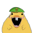 @kaczuch.png