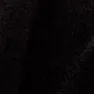 compaacorvii