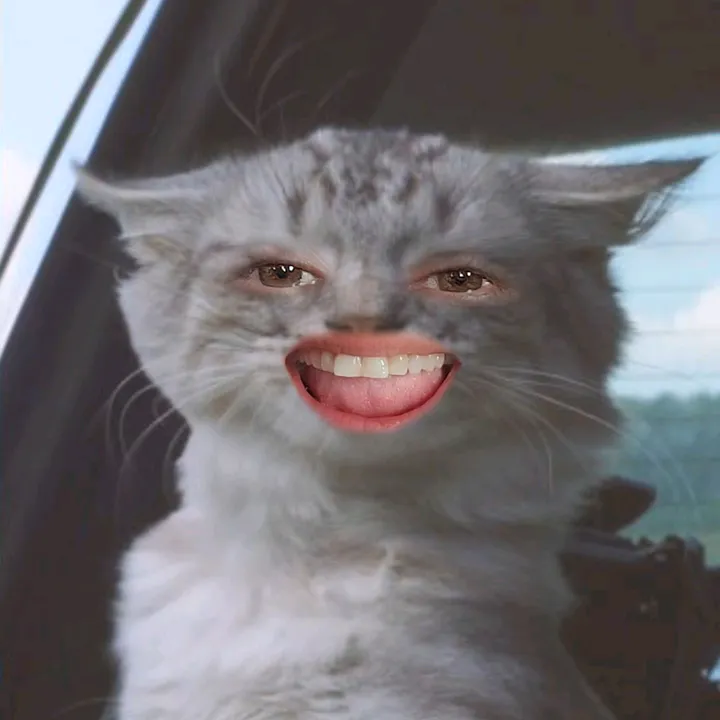 witchenkitch