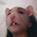 @tiktoxcity1