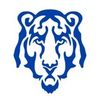 bluetigerbluetooth
