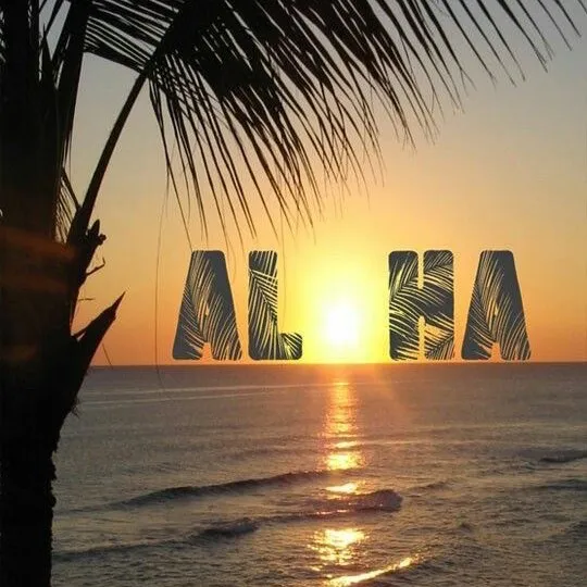 @aloha_vibez808