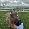 megsminifarm