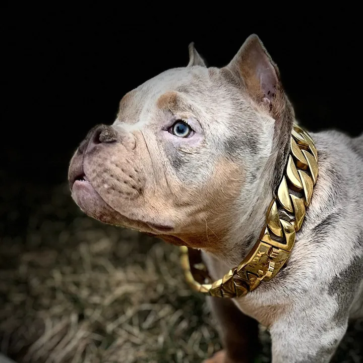 wildtrikennels