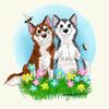 lillyclover