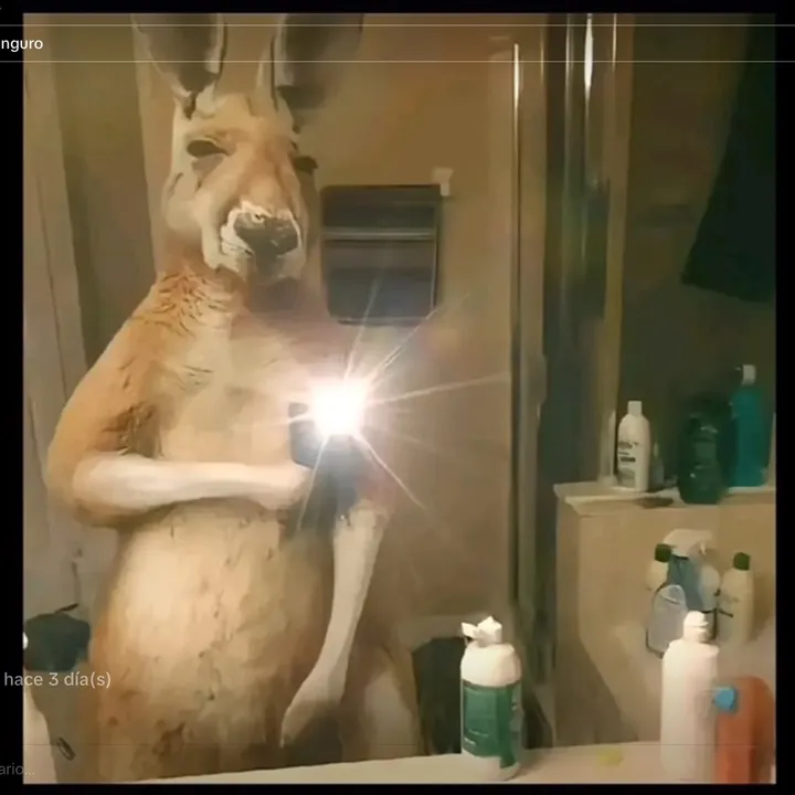 @samxxx977