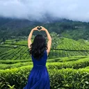 @umarranag1