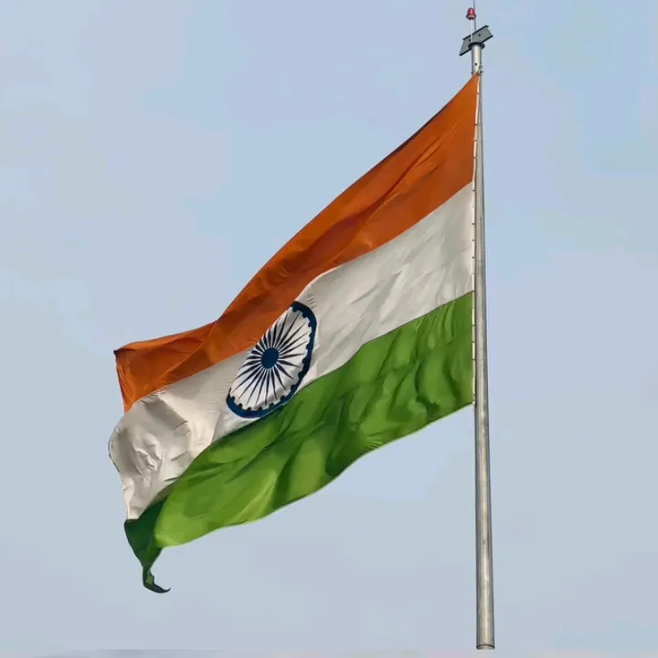 desmi_india