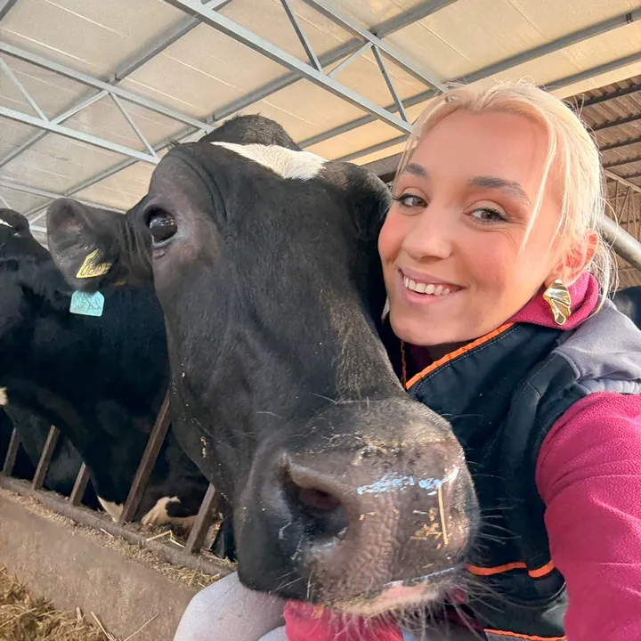 @mother_of_cows