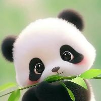 Panda - original sound