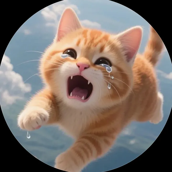 garry.cat2