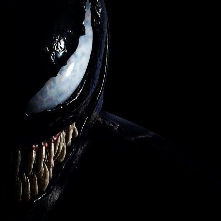 𝐊𝐚𝐲𝐫𝐨𝐱 🕷️ - original sound