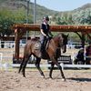 thedressageduo
