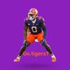 go.tigers1