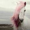 lynneshelby00