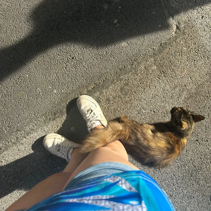 @alexiaaa_123_