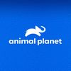 animalplanet