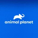 @animalplanet