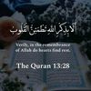 amir_bw1